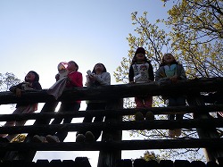 D②