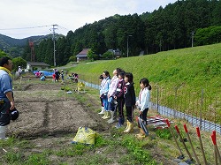 Bチーム農園 (1)