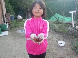 C②