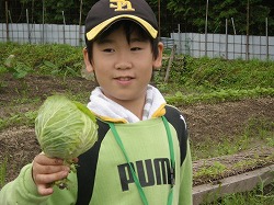 IMGP0753