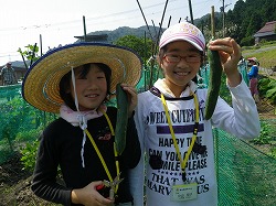 IMGP1298
