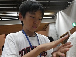 A1