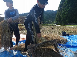 千歯⑧
