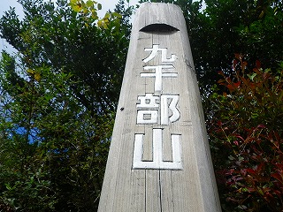 トップ