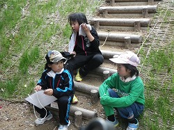 3st-3