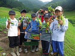 収穫5