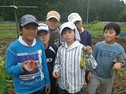 中間発表A①