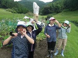 チーム農園6