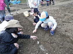 共同農園10