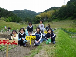 IMGP0498