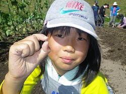 IMGP2774