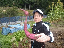 IMGP4954