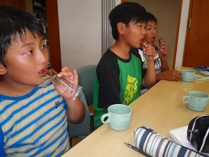 IMGP3291