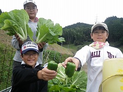 収穫