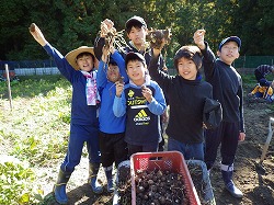 共同農園4
