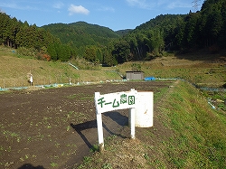 IMGP3223