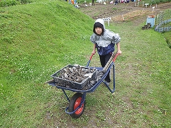 そいや!一輪車もよおそろ!
