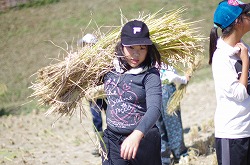 IMGP0911