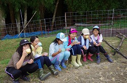 IMGP1037