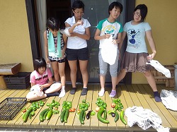 IMGP4341