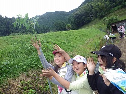 育て!わき芽ちゃん!