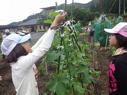 ひも結びはお手の物