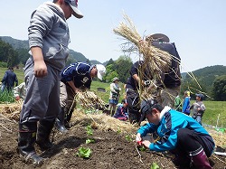 IMGP2011