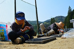共同農園 (14)