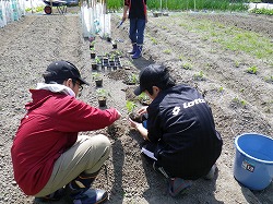 RIMG1233