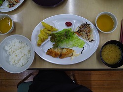 IMGP2040