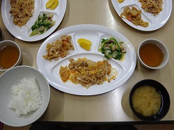IMGP3535
