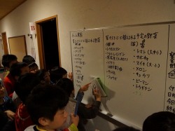 DSC04881
