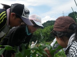 RIMG4450