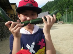 RIMG4479