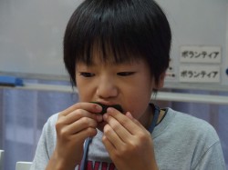 P9100291