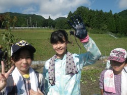 RIMG8433